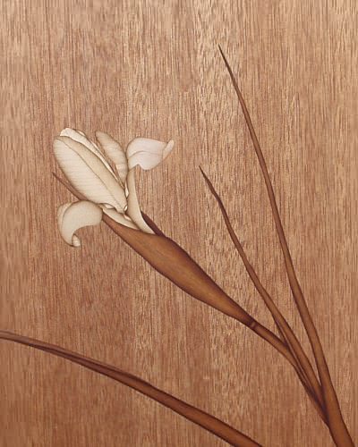 Irisblüte Detail