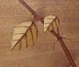 Holzbild: Blätter einer Weinranke