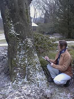 Beim Skizzieren in der Natur