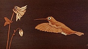 Kolibri mit Akelei