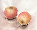 Aquarell Apfel